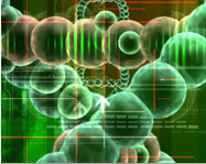 精準(zhǔn)定位無痛人流灶